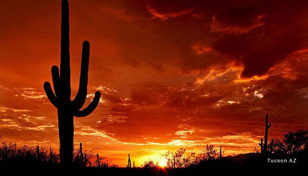 tucson az saguaro national park